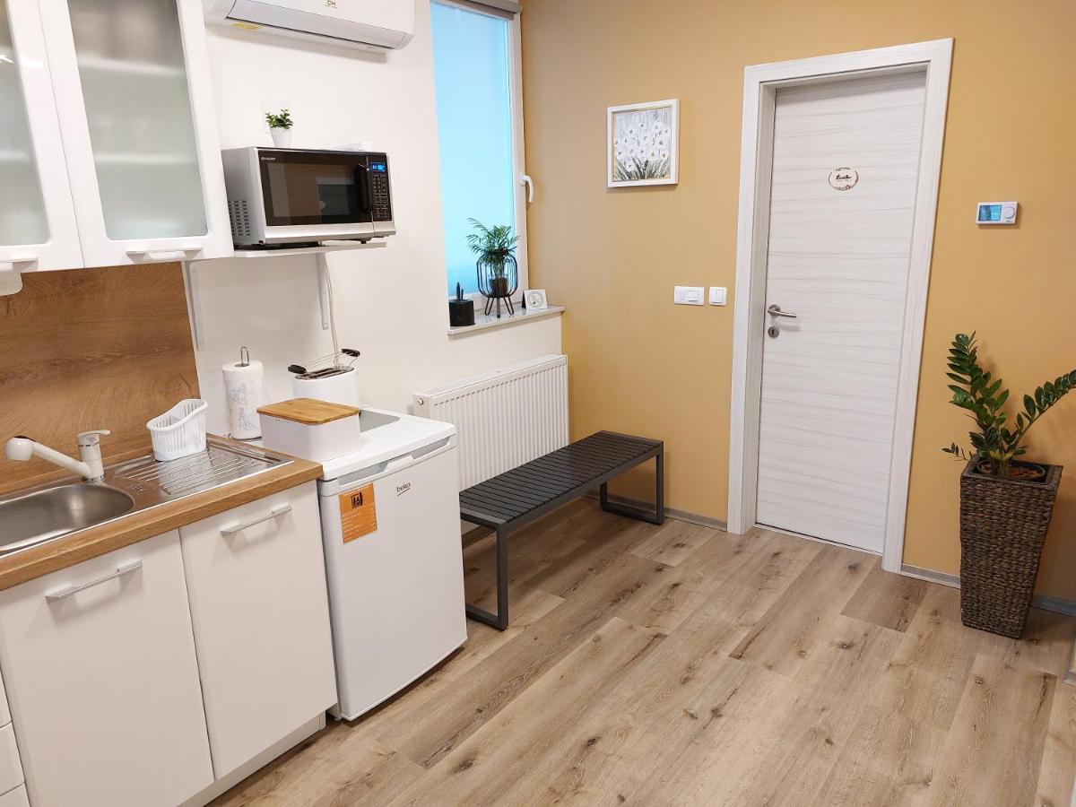 Apartments Alexandra Celje Zewnętrze zdjęcie